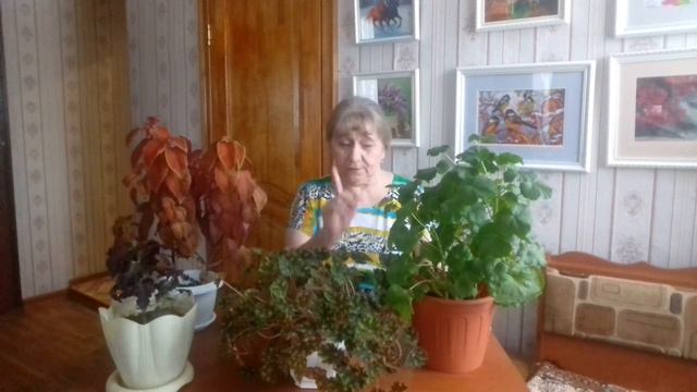 Я ТОЖЕ ЛЮБЛЮ СЛАДКОЕ ! смотреть онлайн