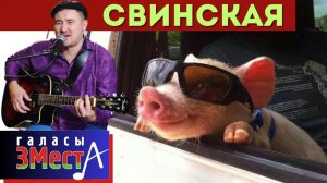 Свинская - Галасы ЗМеста