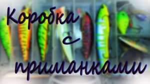 Мои воблеры на щуку и не только Pontoon21 Allblue Kosadaka StrikePro TsuYoki ZipBaits