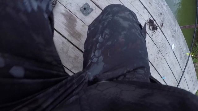 Сумасшедший клёв африканского сома