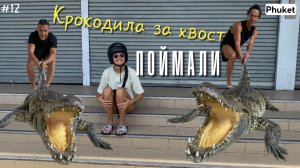 Крокодиловая ферма Пхукет ! Phuket Snake Show ! Держим крокодила за ХВОСТ ! Миша З  Misha Z ! тай 12