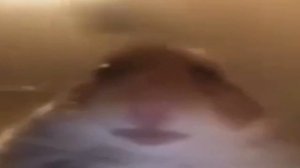 я нюхаю бебру эвридей