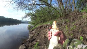 Рыбалка на карася. Ловля на донки, соски. р.Дон. (19.05.2021)