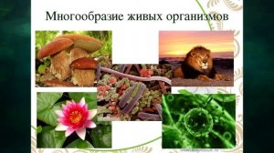 "Четыре царства живой природы", Окружающий мир 3 класс ч.1, с.78-79, Планета знаний.