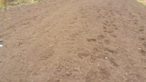 Фреза мтз 05 из редуктора Ваз Финал