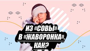 Можно ли из «совы» стать «жаворонком»?