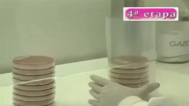 Preparo de meios para Neisseria gonorrhoeae смотреть онлайн