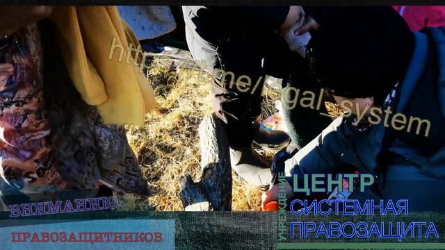 ‼️Вертолёты над лагерем, тепловизоры, водомёт и армия на границе ЧЬИ? ?? смотреть онлайн