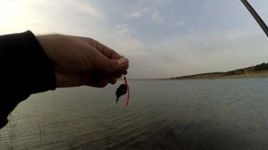 Что реально клюет на Симферопольском водохранилище:)