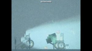 Skibidi Toilets on TIKTOK #38 | Melon Sandbox