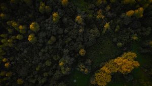 Осенью на даче (полеты на дроне)