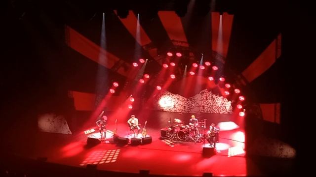 2024.02.17 Белая ворона