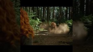 Сумерки-Виктория