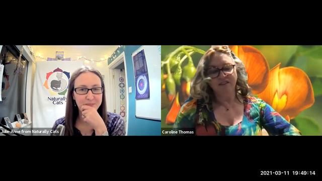 How Bach flowers remedies can help your cat смотреть онлайн