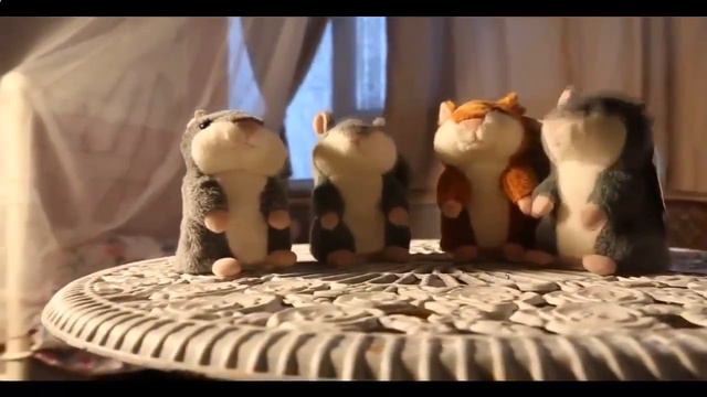 Где купить говорящего хомяка? смотреть онлайн