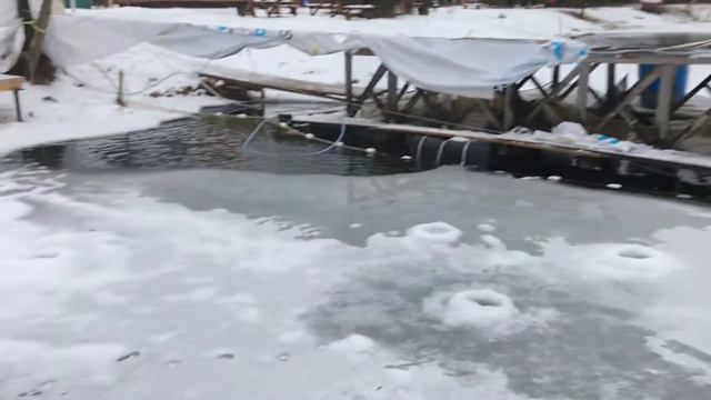 21 декабря 2020 г. смотреть онлайн