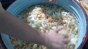 Квашеная капуста с хреном