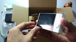 Sony WX500 Unboxing Video Zoom Test