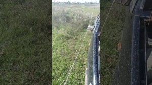 Электропастух своими руками