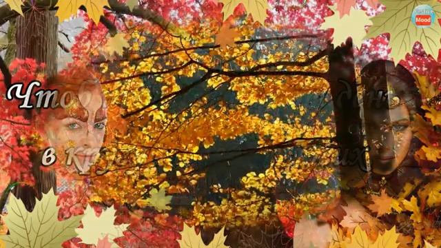 ☀С добрым утром!☀ смотреть онлайн