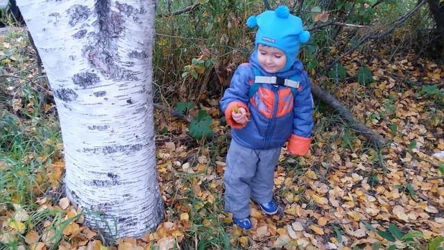 Стихи. Осень. Развивашки - Занимашки Дю смотреть онлайн