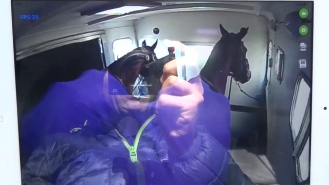 Equi Vue2™ - In Use - Horsebox смотреть онлайн