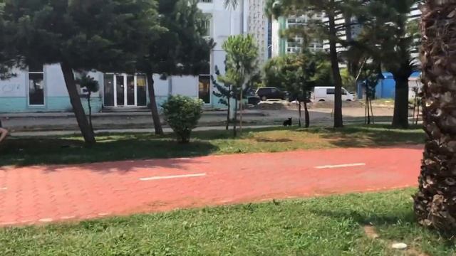 Батуми сезон 2021. День. смотреть онлайн