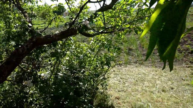 лето в деревне 2022 смотреть онлайн