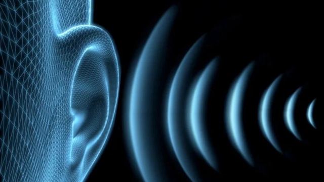 Ультразвук. Привет соседям! Ultrasound.  Hello neighbors!