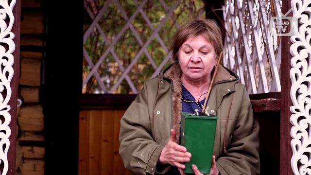 Штамбовая малина и малиновое дерево ?  советы от хитсад тв