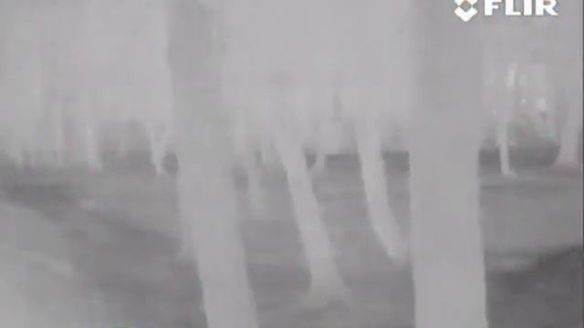 FLIR TS-32 смотреть онлайн