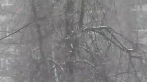 Такого снегопада давно не помнят здешние места