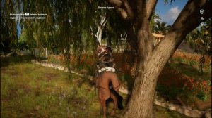 Ассасин крид истоки. Мое прохождение Assassins Creed Origins - часть 527. Сокровище Царское дерево.