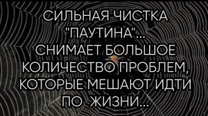 СИЛЬНАЯ ЧИСТКА..._ПАУТИНА_...ДЛЯ ВСЕХ..
