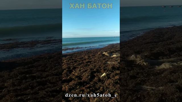 Вот такой день | Море | Тина | Евпатория | Крым | XAH 6ATOH | ХАН БАТОН
