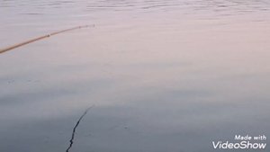 РЫБАЛКА В ЛЫСОГОРКЕ. ЛОВИМ КАРАСЯ С ЛОДКИ!