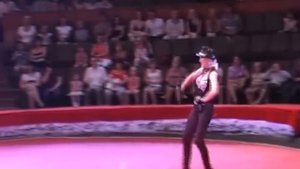 Дрессированные собаки - Собачий фристайл. Trained dogs in the circus