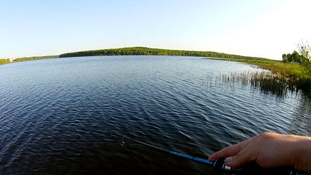 Нано-окунь, Язь и даже щук на домашнем Пруду смотреть онлайн