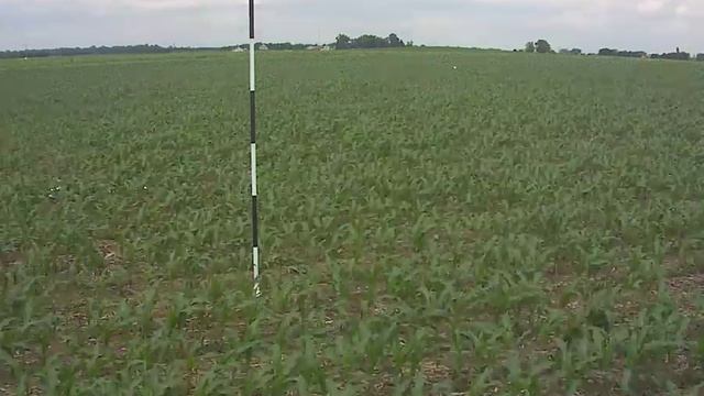 Fast growing corn in Illinois смотреть онлайн