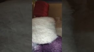 Фантазийная пряжа. 2019 от dompryazhi.ru