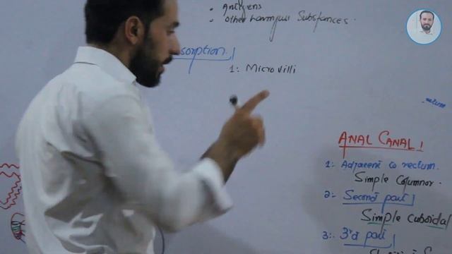 Gastrointestinal glands | Epithelia of GIT | Functions смотреть онлайн