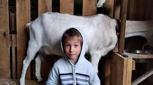 Ах ты ж коза - песня про козу