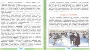 Тундра. Окружающий мир. 4 класс, 1 часть. Учебник А. Плешаков стр. 84-94