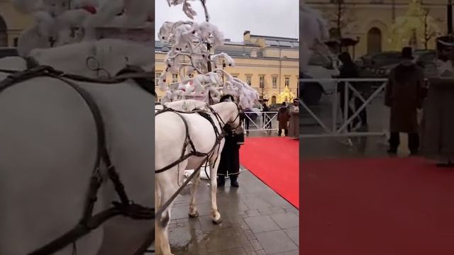 Стеша Маликова в модной фотосессии