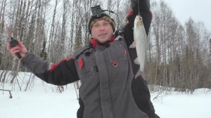 Рыбалка на ХАРИУСА! Рыбачим на таёжной реке в Республике Коми. Март 2020 г..mp4