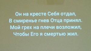 Песню "В Христе одном надежда есть" поём общим пением, под аккомпанимент оркестра г. Нюмбрехт