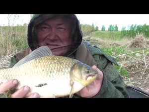 Рыбалка на карася в начале июня