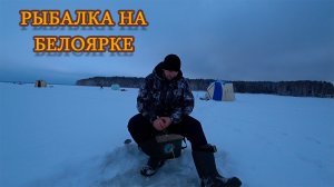 Рыбалка на БЕЛОЯРКЕ. Зимняя рыбалка 2022. ловим подлещика