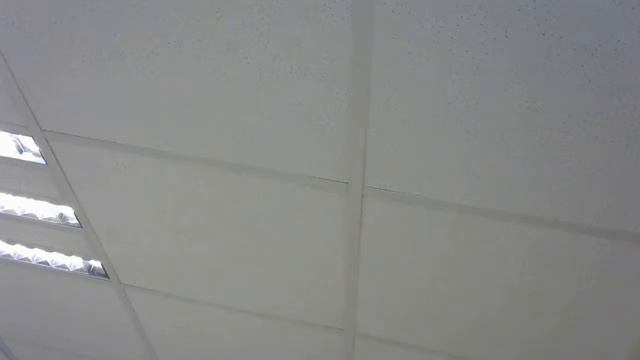 Web Cam Stream 7.11 смотреть онлайн