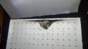 Ремонт подсветки телевизора SAMSUNG UE42F5000